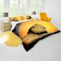 Lion In The Sun Duvet Cover Set Double