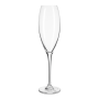 @home Cecilia Champagne Crystal 290ML