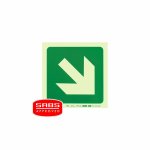 Parrot Photoluminescent 190MM E31 Safety Sign