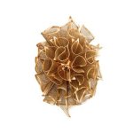 Ciro Wall Light