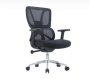 Alodius Office Chair -black