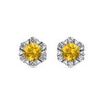 DESTINY Petal November citrine Birthstone Earring With Swarovski Crystals