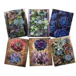 Decoupage Tear Resistant Transfers - Succulent Zebra Door