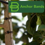 Bandex Anchor Band 120X5MM - 1KG