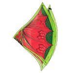 Dragon Dress-up Wings And Mask