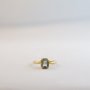 Emerald Cut - Small - Blue Topaz / Medium