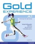 Gold Experience Language And Skills Workbook A1 Paperback