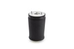 Air Shock Rear L For Bmw E53