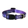 Rogz Fancy Dress Dog Collars - Scooter Medium / Purple Forest