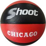 MINI Chicago Basketball