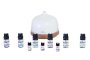 Alva Essential Oil Diffuser & 9PC Oils Value Bundle