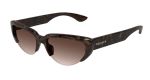 Sunglasses Womens In Havana Brown AM0533S-002 - Havana Onesize