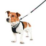 Halti No Pull Harness - Medium