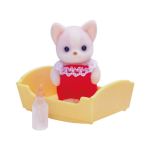 Chihuahua Dog Baby