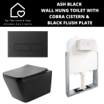 Ash Black Wall Hung Toilet With Cobra Cistern & Black Flush Plate