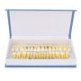 Dental Teeth Model 32PCS Resin Dual Color For Dentist Training