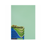 A4 Pastel Board 100 Green
