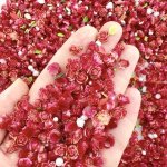 60PCS Assorted Luminous Flower Leaf & Pearl Nail Art Charms Random Mix Diy Decor For Phone Case Earrings Hair Accessories And Cr