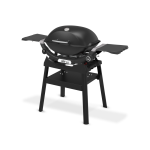 Weber Q2200N With Stand