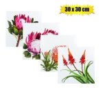 Plaque-wall Canvas Picture Protea 30×30