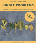 Jungle Problems Guide