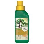 Pokon – Bonsai Plant Food – 250ML