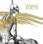 Mutations Cd