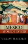 Mexico in World History Hardcover