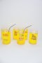 6 Printed Can Shaped Drinking Glass Tumblers With Stainless Steel Straws & Straw Brush