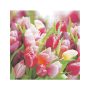 3 Ply Lunch Serviettes 33X33 Pink And Violet Tulips 20S Tbd