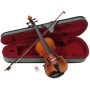 Sandner Dynasty 300 : 4/4 Violin Outfit
