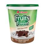 Clover Fruits Of The Forest Choc Chip Full Cream Yoghurt 1KG