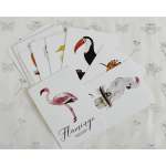 Bird Cards Set Of 14