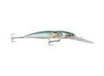 Fishman Frenzy Trolling 10M
