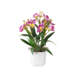 Pink Pansy In Pot 30CM