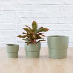 Flo Planter - Sage Green - 13CM