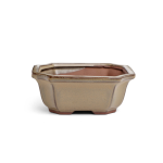 Assorted Glazed Bonsai Pots 6" - Mustard-rectangular 16 X 14 X 6CM