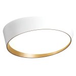 Bright Starts Bright Star LED Round Light Fitting 24W White & Copper