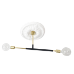 Two Arm Pendant - Black & Brass