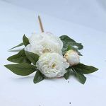 Peonie White 3 Stems 70 Cm