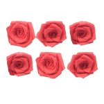 Red Rose Small Pack Of 6
