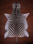 A Grade Zebra Hide 082 L