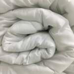 Hollowfibre Blend Duvet Inner Assorted Sizes - Three Quarter