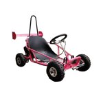 Tao GK100 Model 80CC 4 Stroke Go Kart 5-12 Years
