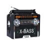 Radio 11 Band MP3/SD/ USB Music Player With Rechargeable Battery & Built-in Torch