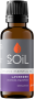 Lavender Essential Oil 30ML