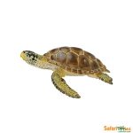 Sea Life Loggerhead Turtle