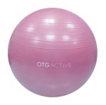 OTG 55CM Anti-burst Gym Ball