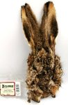 Wapsi Hares Mask Natural Brown - Xplorer Fly Fishing