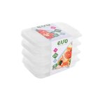 EVO 500ML Lunchbox 4PC Clear